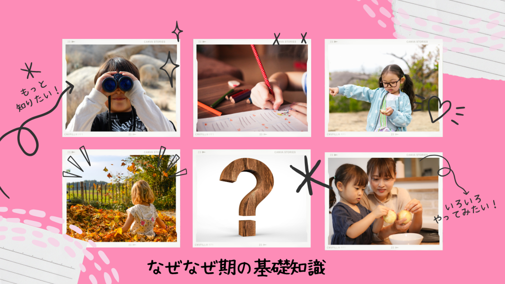 なぜなぜ期の基礎知識